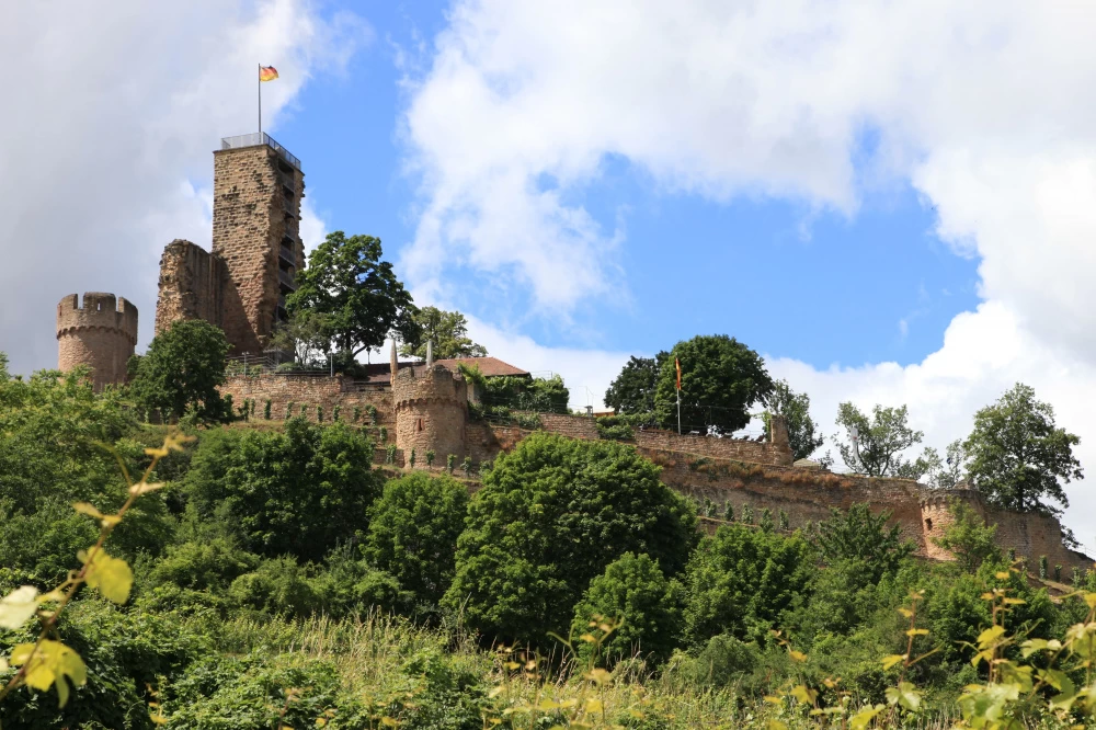 Wahrzeichen Wachenheims: Die Burg Wachtenburg