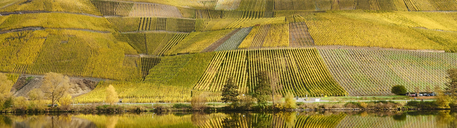 Mosel